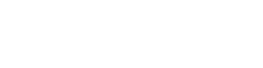 MIZUNO